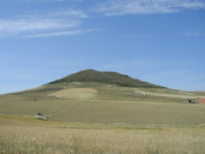 GEASL CAMPO  CONTENEDOR